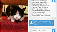 Susira&scaron;inėjimas dėl katino