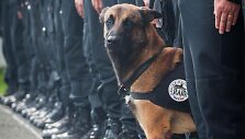 Policijos &scaron;uo Diesel
