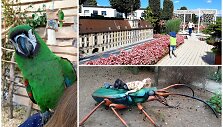 Lenkiją i&scaron;mai&scaron;iusi lietuvių &scaron;eima pateikė TOP10 muziejų, kurie patiks vaikams