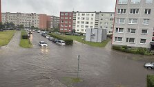 Liūtis Klaipėdoje apsėmė gatvę