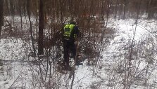 Ukmergės rajone žiauriai nukankintas &scaron;uo