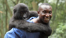 Kadras i&scaron; filmo &bdquo;Virunga&ldquo;