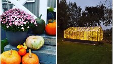 Skaistės Vai&scaron;noraitės-Blusienės rudens dekoras