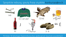 Rebusas