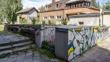 Piktžolės Panevėžyje