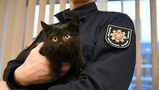 I&scaron;gelbėtas katinėlis ir jo gelbėtojai