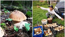 Solveiga Kutkaitė ir grybų laimikis