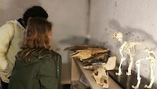 Lankytojai apžiūri archeologinius radinius (E. Dauk&scaron;aitės nuotr.)