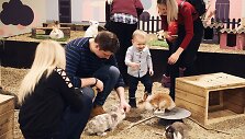 Ie&scaron;kote, kaip įdomiai paminėti vaiko gimtadienį? &Scaron;vęskite jį zoologijos sode