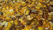 Paroda &bdquo;Amber trip&ldquo;