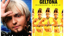 Grupės &bdquo;Delfinai&ldquo; ir Geltonos albumo vir&scaron;eliai