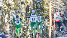 2017 m. pasaulio slidinėjimo čempionatas: skiatlono varžybos.