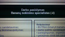 Prekybos centras Kaune ie&scaron;ko bananų nokinimo specialisto