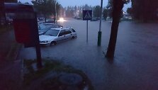 Liūtis Elektrėnuose
