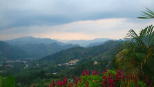 Andai