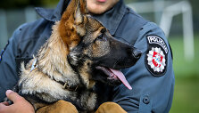 Policija pristatė būsimus tarnybinius &scaron;unis