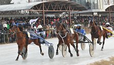 Žirgų lenktynės &bdquo;Sartai 2014&ldquo; 2014 m. vasario 01 d. 