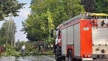 Ignalinoje &scaron;alinami audros padariniai