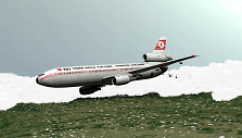 &bdquo;Turkish Airlines&ldquo; 981-ojo reiso lėktuvas