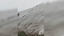Praėjusią savaitę girių galiūnai buvo užfiksuoti besiganantys net Kėdainių alpėmis pramintuose &bdquo;Lifosos&ldquo; fosfogipso kalnuose