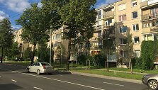 Naujai pasodinti medžiai Antakalnio gatvėje