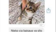 I&scaron; susira&scaron;inėjimų feisbuke