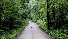 Kelionė dviračiu po Neries regioninį parką