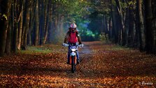 Žemė-ruduo &bdquo;KTM Freeride&ldquo;