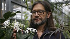 Penktadaliui pasaulio augalų gresia pavojus i&scaron;nykti, perspėja britų mokslininkai