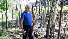 Nugai&scaron;usi avis