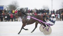 Dusetose startavo &bdquo;Sartai 2015&ldquo; lenktynės
