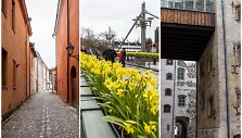Ką pamatyti per savaitgalį Turku?
