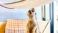 Po beveik pusės metų pertraukos duris lankytojams atveria Vilniaus zoologijos sodas &bdquo;Zoopark&ldquo;