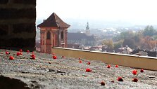 Karali&scaron;kasis sodas