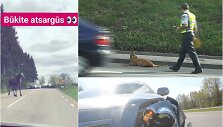 Temos iliustracija