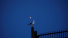 Kyla &bdquo;SpaceX&ldquo; raketa &bdquo;Falcon 9&ldquo;