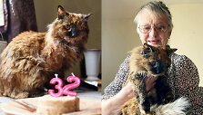 Seniausia pasaulyje katė Rosie ir jos &scaron;eimininkė Brissett