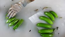 Laose auginamų bananų plantacijos &ndash; finansinė nauda ir pavojus dėl naudojamų chemikalų