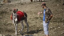 Nepasakyčiau, kad Jordanijoje asilai draugi&scaron;ki. Jie į atvykėlį žvelgia i&scaron; auk&scaron;to
