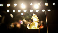 Vilnius International Short Film Festival