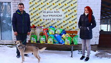 Panevėžio gyvūnų globos draugijos prieglaudoje