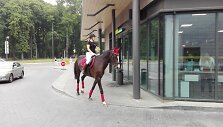 Mergina ant žirgo 