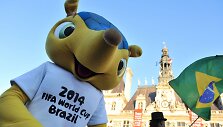 Pasaulio futbolo čempionato Brazilijoje talismanas &ndash; &scaron;arvuotis Fuleco