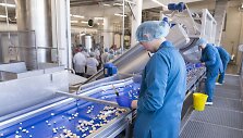 Kooperatyvas &bdquo;Grybai LT&ldquo; ketvirtadienį &Scaron;irvintose atidarė robotizuotą maisto gamyklą