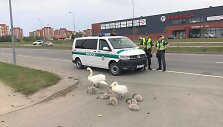 Pareigūnai trumpam sustabdė eismą