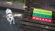 Akcijos dalyviai fotografavosi su plakatu &bdquo;Lietuva myli Lenkiją&ldquo;
