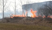 Panevėžyje liepsnoja žolė.