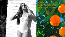 Lana Del Rey ir jos knygos vir&scaron;elis