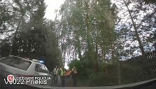 Mafiozo gaudynės