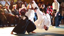 Aikido festivalio akimirka